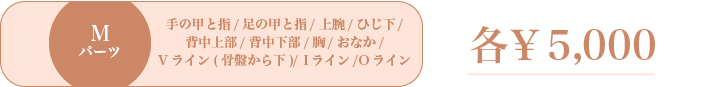 料金表
