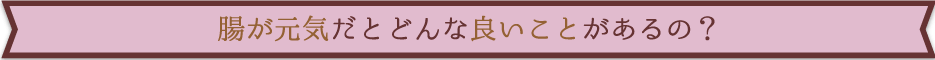 腸が元気だとどんな良いことがあるの？