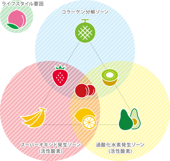 肥満関連遺伝子×ライフスタイル解析