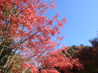 六義園＆小石川後楽園