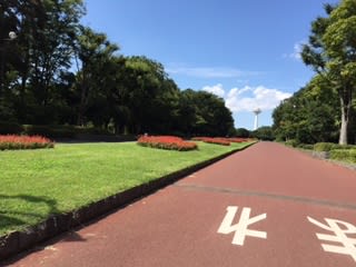 所沢航空記念公園＆むさしの森＆(T-T)