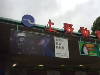 夜の動物園