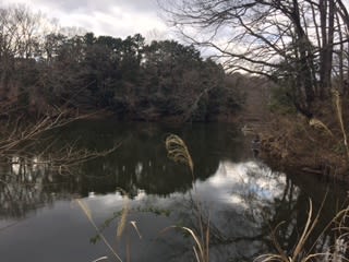 震生湖とロンカフェ