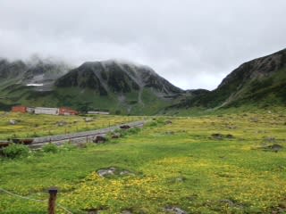 立山へ行ってきました。