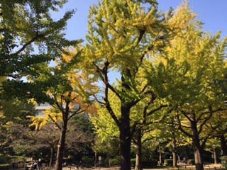 東京都復興記念館