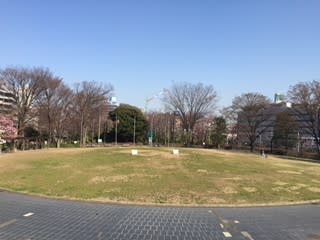 西口公園の開花情報