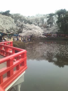 岩槻城跡公園＆探索