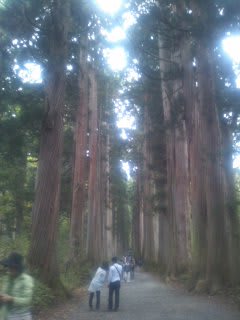 戸隠神社