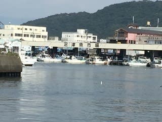 沼津港