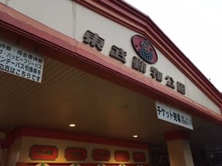 夜の動物園(T△T)