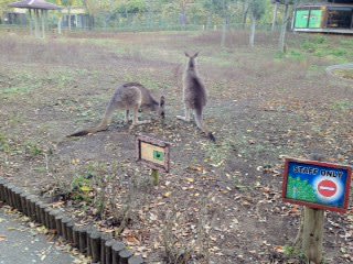 こども動物自然公園♪