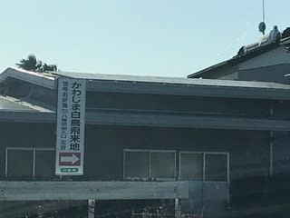 川島町白鳥飛来地