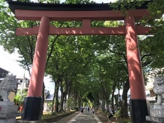 仕入れがてら、大宮氷川神社