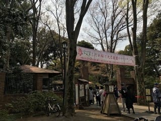 六義園・・・未遂