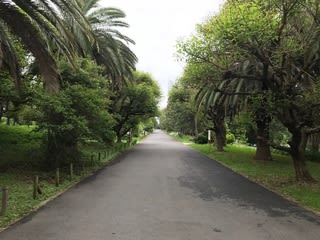 夢の島熱帯植物館