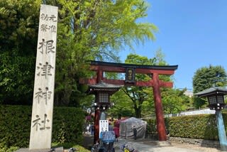 根津神社のツツジ祭り