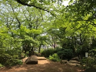 早朝、川口西口公園