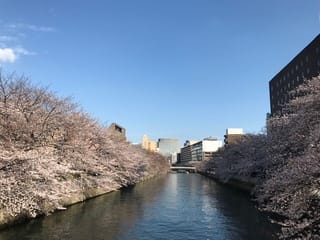 江東区散歩