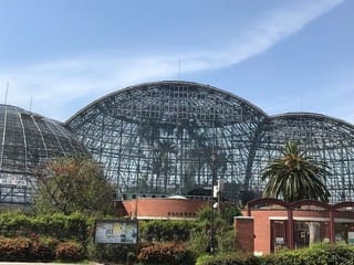 駐車場、智通、植物園