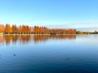 水元公園へお散歩