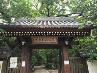 名主の滝公園を散歩