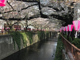 イベントをまとめます