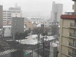 【16時半】積雪状況