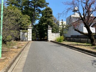 豪徳寺のまねきねこ