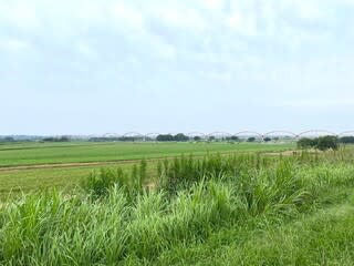 荒川水管橋