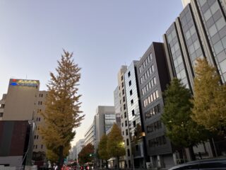 横浜の紅葉