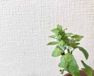 講座申込み状況