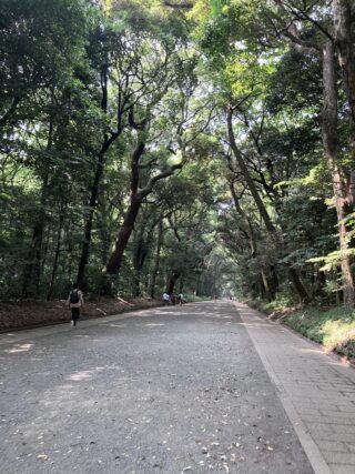 静寂の明治神宮