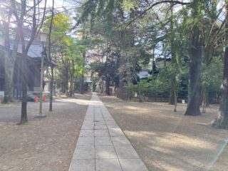 予告。来月おもしろキャンペーン