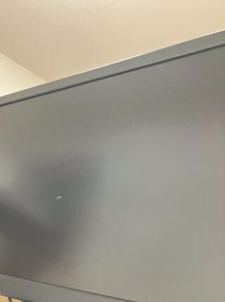 ついにモニターきたー！