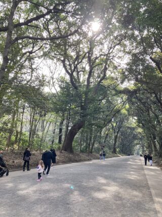 枯れている(ﾟДﾟ;)