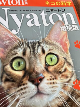 確定申告（ほぼ）終了！