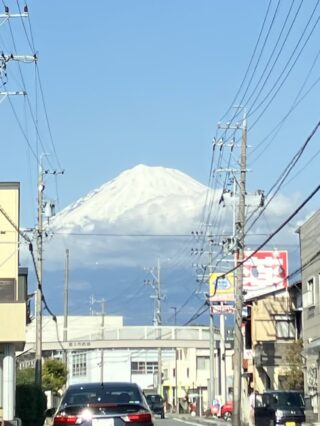 メディカルプロ来ました！