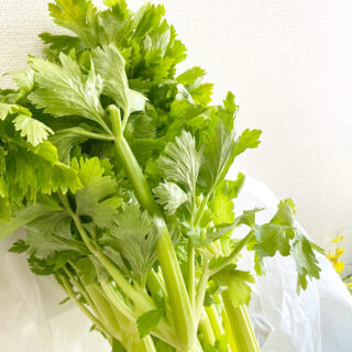 セロリの季節