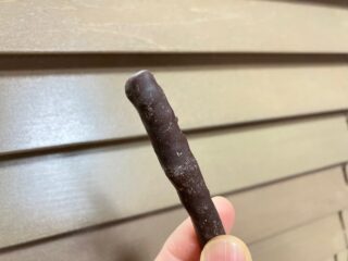 今日のこと