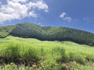 戻りました