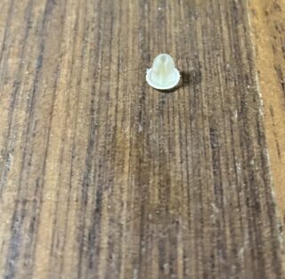 お忘れ物？ホワイトホール？