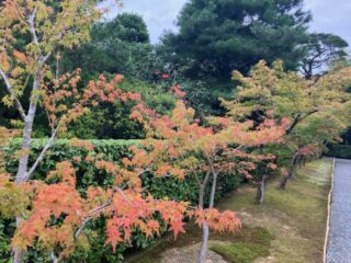 【美容情報編】講習会に行ってきました